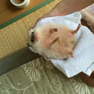 20150922005550980.jpg