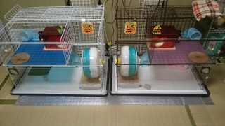 20150927230926441.jpg