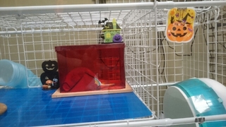 20150927231002720.jpg